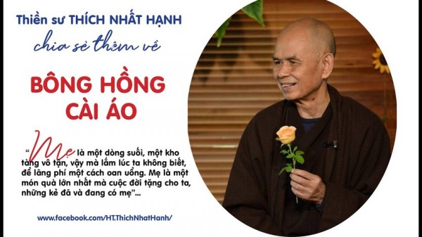 thien-su-thich-nhat-hanh-bong-hong-cai-ao_hxos